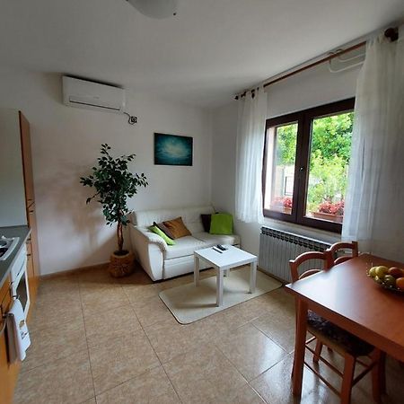 לאבין Apartman Gina מראה חיצוני תמונה