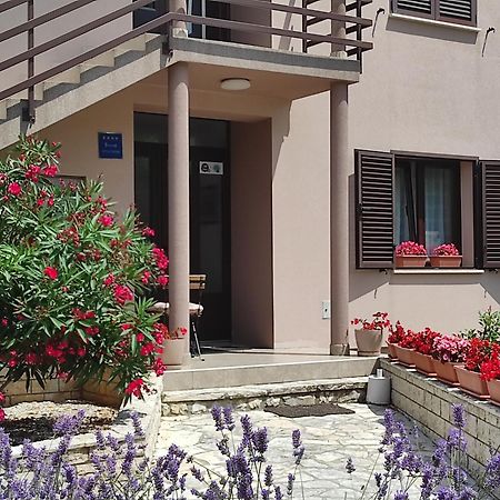 לאבין Apartman Gina מראה חיצוני תמונה