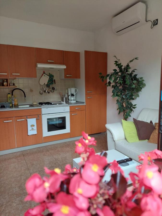 לאבין Apartman Gina מראה חיצוני תמונה